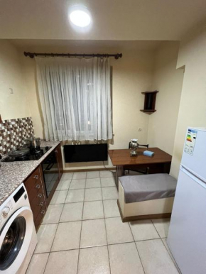 Nice Apartment in Yerevan Centre,Sayat Nova Street